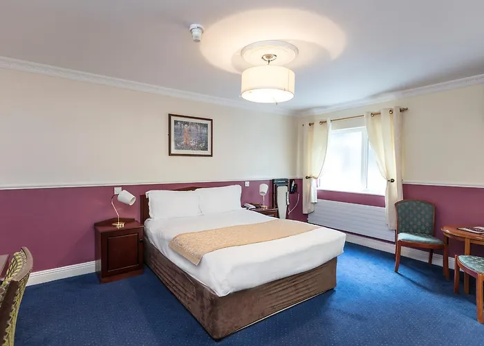 The Lansdowne דבלין